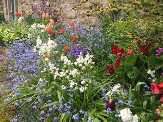 low maintenance garden