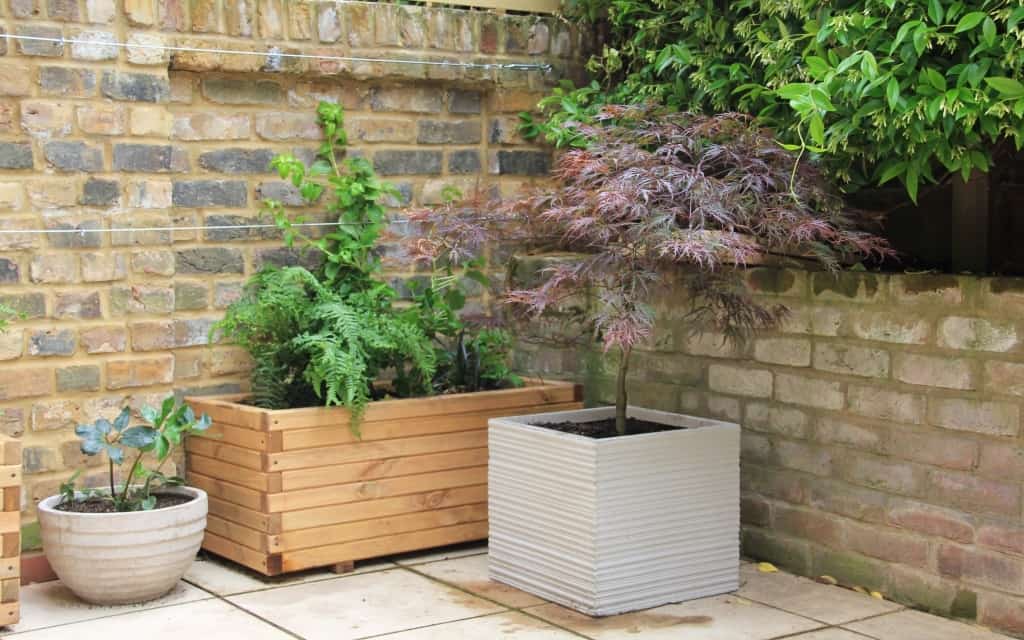 low maintenance garden